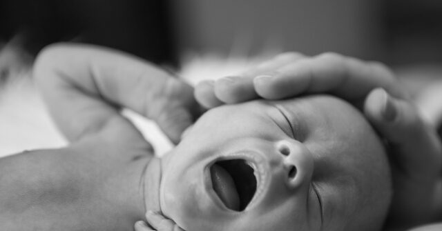 infant-surrendered-to-safe-haven-baby-box-in-tennessee