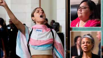 cop-hating-activists-handed-city-hall-stage-as-angry-residents-shut-out-of-$14.9b-budget-showdown