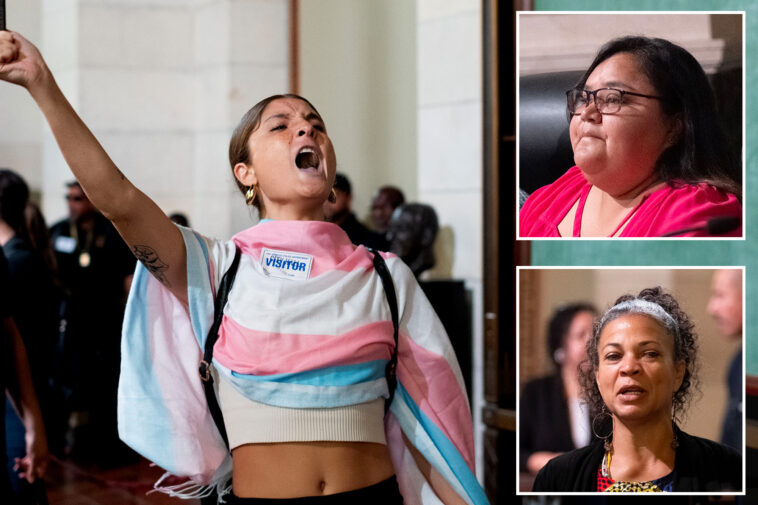 cop-hating-activists-handed-city-hall-stage-as-angry-residents-shut-out-of-$14.9b-budget-showdown