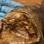 watch-—-‘secrets-of-the-deep’:-scientists-identify-‘golden-orb’-found-during-2023-ocean-exploration