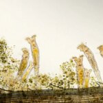 scientists-revive-ancient-24,000-year-old-‘zombie-worm’-from-arctic-ice-—-then-it-reproduced