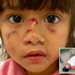 illegal-migrant-‘cannibal’-attacks-mom-and-daughter-:-‘completely-preventable’