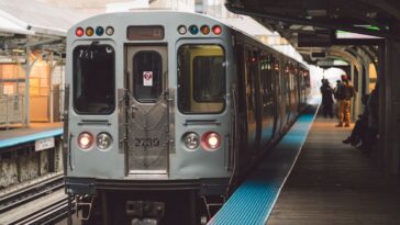 mob-of-urban-miscreants-allegedly-attacked-fellow-chicago-train-passenger