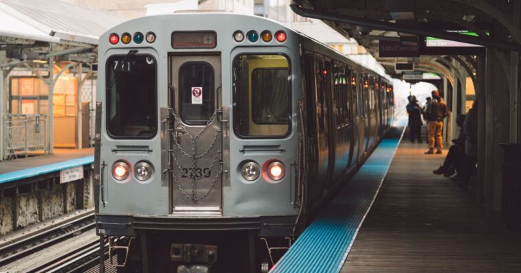 mob-of-urban-miscreants-allegedly-attacked-fellow-chicago-train-passenger