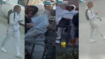 suspect-who-fled-us-arrested-in-connection-with-caught-on-camera-killing-of-15-year-old-in-nyc-park