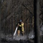 stray-spark-and-aluminum-balloon:-georgia-declares-state-of-emergency-as-wildfires-rage-in-south