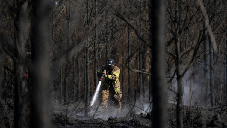 stray-spark-and-aluminum-balloon:-georgia-declares-state-of-emergency-as-wildfires-rage-in-south