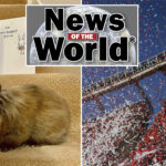news-of-the-world:-what-you-missed-this-week-internationally