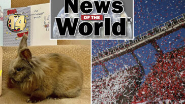 news-of-the-world:-what-you-missed-this-week-internationally
