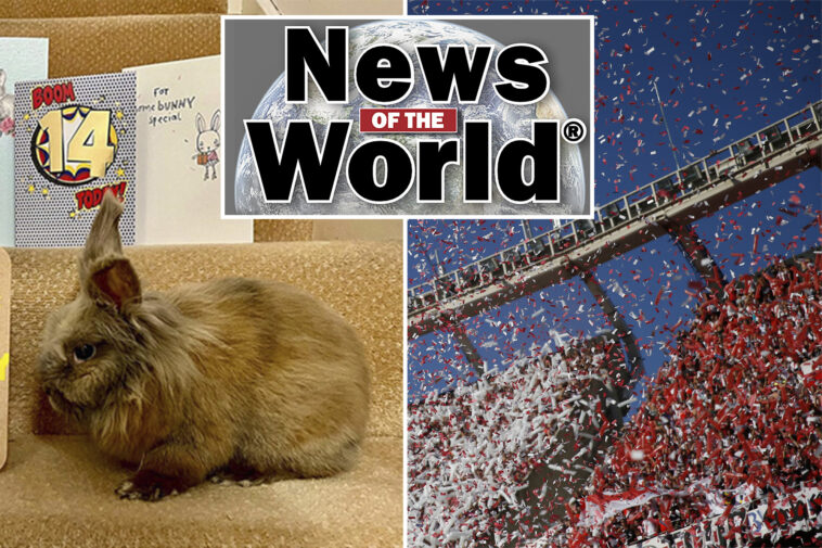 news-of-the-world:-what-you-missed-this-week-internationally
