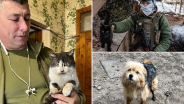 cat-and-dog-stranded-on-ukraine-front-lines-rescued-by-drone