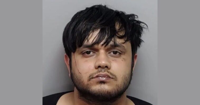 illegal-immigrant-‘cannibal’-assaults,-wounds-3-year-old-girl:-dhs-says-biden-admin-could-have-prevented-it