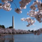 trump’s-dc-beautification-push-wins-rare-dem-praise-as-president-snaps-landmarks-back-to-life