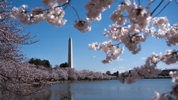 trump’s-dc-beautification-push-wins-rare-dem-praise-as-president-snaps-landmarks-back-to-life