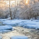 5-year-old-hero-saves-little-brother-from-icy-creek-but-pays-a-heavy-price-–-underwent-cpr-for-6-hours-straight