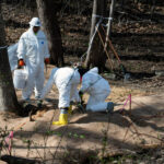 trump’s-doj-moves-against-city-of-washington,-dc-over-sewage-disaster-that-polluted-potomac-with-millions-of-gallons-of-human-waste