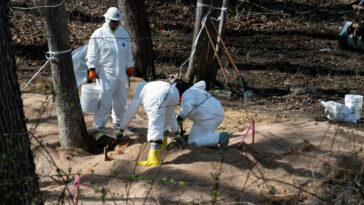 trump’s-doj-moves-against-city-of-washington,-dc-over-sewage-disaster-that-polluted-potomac-with-millions-of-gallons-of-human-waste