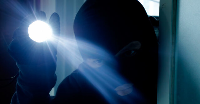 report:-thieves-attack-aging-budget-rental-car-heiress-during-burglary-of-her-hollywood-hills-mansion