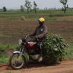 at-least-4-christian-farmers-gunned-down-in-their-fields-by-motorcycle-mounted-islamists-in-nigeria