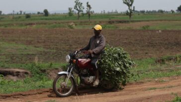 at-least-4-christian-farmers-gunned-down-in-their-fields-by-motorcycle-mounted-islamists-in-nigeria