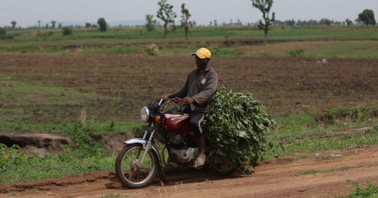 at-least-4-christian-farmers-gunned-down-in-their-fields-by-motorcycle-mounted-islamists-in-nigeria