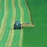 the-good,-the-bad,-and-the-ugly:-inside-swamp’s-new-farm-bill