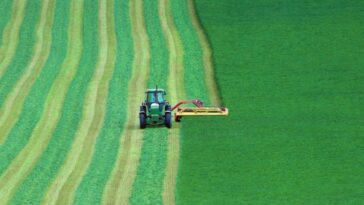 the-good,-the-bad,-and-the-ugly:-inside-swamp’s-new-farm-bill