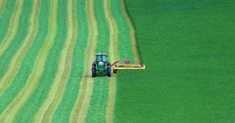 the-good,-the-bad,-and-the-ugly:-inside-swamp’s-new-farm-bill