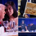 the-security-loopholes-that-allowed-gunman-to-get-near-white-house-correspondents’-dinner-—-as-trump-says-this-proves-need-for-his-ballroom