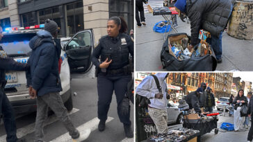 illegal-vendors-swarm-nyc’s-chinatown-months-after-ice-raids-in-cat-and-mouse-game-with-authorities