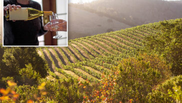 crisis-mode-napa-valley-chiefs-launch-major-shift-to-save-industry