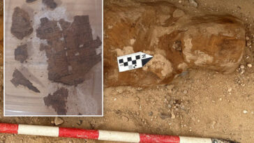 archaeologists-find-piece-of-famous-book-in-1,600-year-old-egyptian-mummy’s-guts