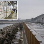 magnitude-6.2-earthquake-shakes-part-of-northern-japan