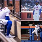 who-are-these-mets?-we-may-have-our-depressing-answer
