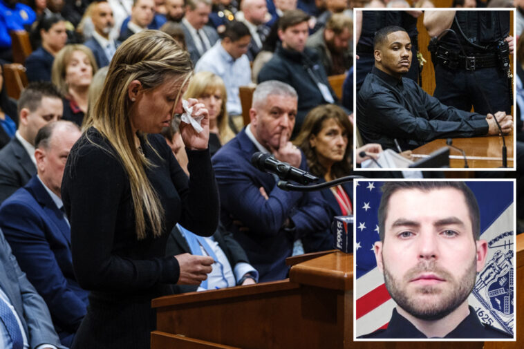 slain-nypd-detective-jonathan-diller’s-widow,-mom-tear-into-his-killer-as-judge-throws-the-book-at-him