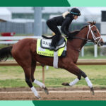 we-found-the-cheapest-last-minute-2026-kentucky-derby-tickets