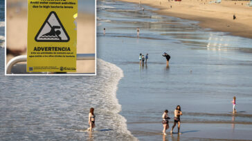 urgent-warning-for-la-beaches-as-bacteria-levels-surge