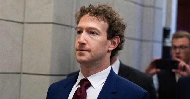 china-blocks-meta’s-$2-billion-acquisition-of-ai-startup-manus