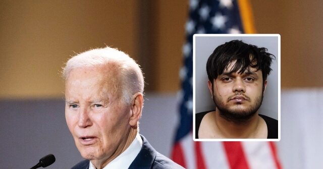 joe-biden’s-dhs-protected-illegal-alien-now-accused-of-biting-child’s-face-in-random-attack