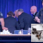 lefty-loons-claim-whcd-assassination-attempt-was-staged:-‘some-sick-people’