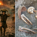 pompeii-researchers-use-ai-to-create-stunning-digital portrait-of-victim-who-tried-to-escape-eruption