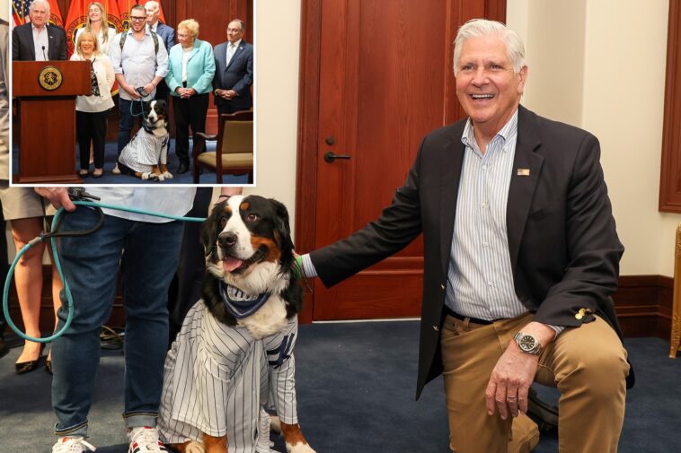 blakeman-signs-law-to-limit-dog-tethering-—-and-bad-ny-pet-owners-could-face-jail