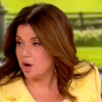 ‘the-view’-relish-trump-and-his-cabinet-‘felt-the-fear’-for-their-lives-during-whcd,-in-push-for-gun-control