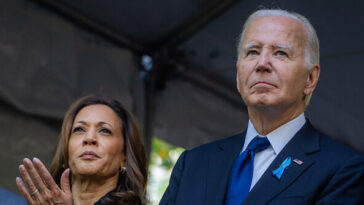 link-lauren:-republicans-failing-to-paint-picture-of-how-dire-things-were-under-biden/harris