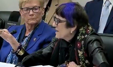 “you-don’t-have-the-right-to-say-climate-change-is-a-hoax!”-purple-haired-democrat-loses-it-as-lee-zeldin-schools-her-on-two-landmark-supreme-court-cases-(video)