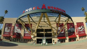 rodent-infestation-at-angel-stadium-leads-to-concession-stand-shutdown-after-health-inspection-report