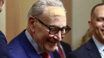 chuck-schumer-wore-a-giant-bandage-on-his-forehead-for-king-charles-iii’s-speech-—-then-offers-off-the-wall-explanation-for-why