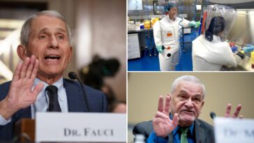 pressure-on-doj-to-prosecute-anthony-fauci-grows-after-adviser-indicted—with-days-left-to-charge-covid-‘lies’