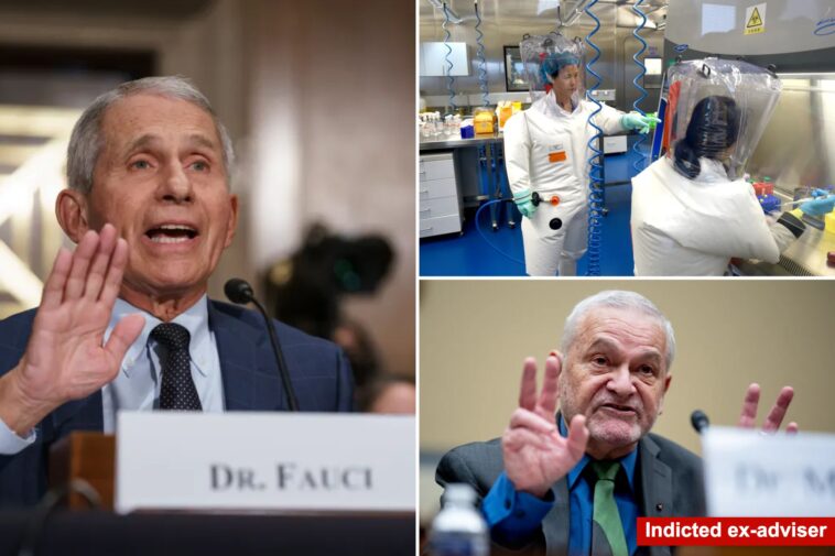 pressure-on-doj-to-prosecute-anthony-fauci-grows-after-adviser-indicted—with-days-left-to-charge-covid-‘lies’