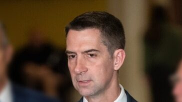 tom-cotton-calls-out-u-visa-program-as-‘de-facto-amnesty’-for-illegal-aliens